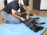 klassische Massage 2